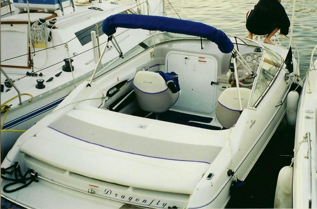1995 Chris Craft 21 Concept à vendre (photo 3)