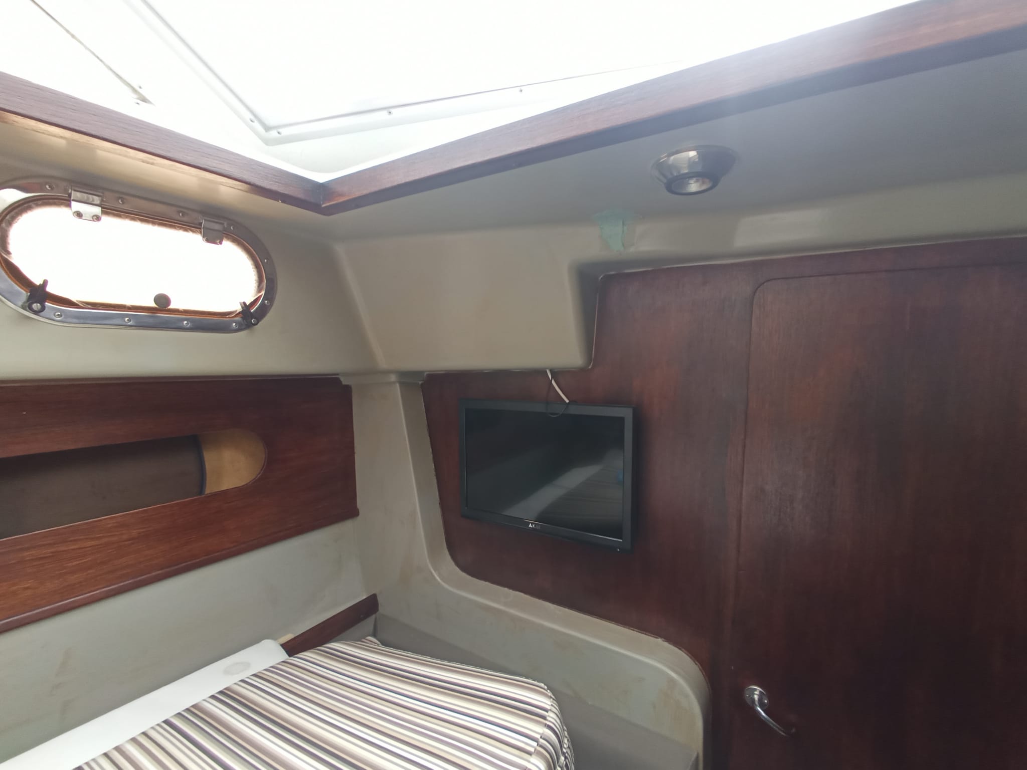 2010 Zaniboni F310 Bluetime en venta (photo 19)