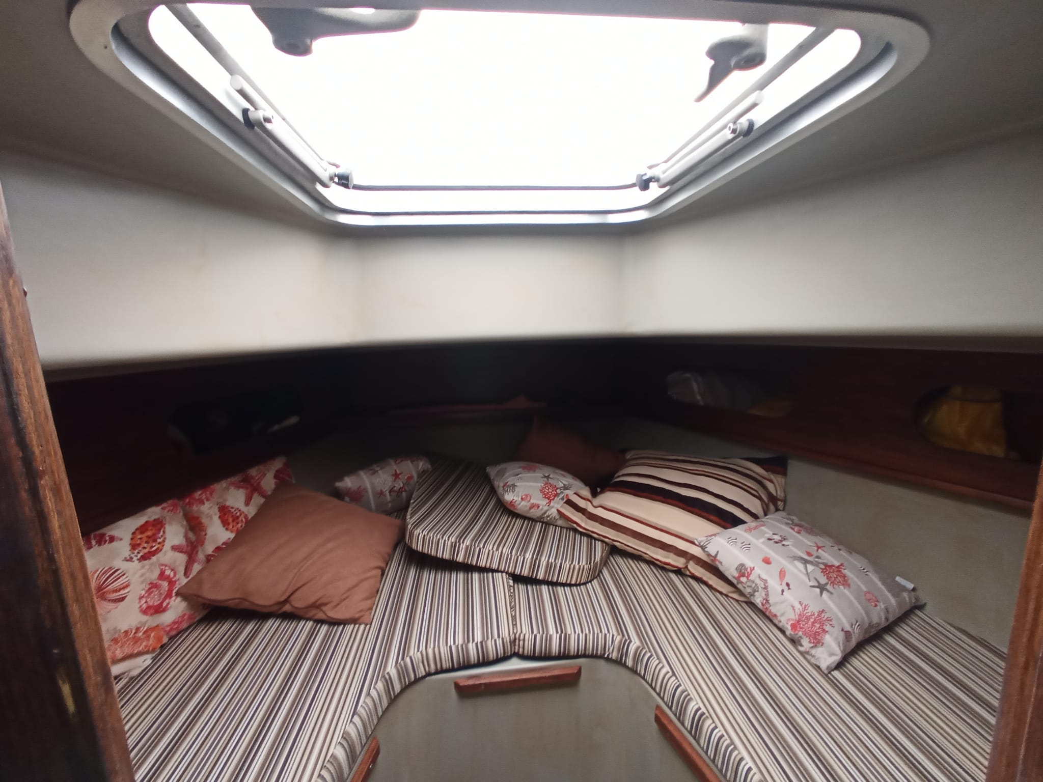 2010 Zaniboni F310 Bluetime en venta (photo 23)