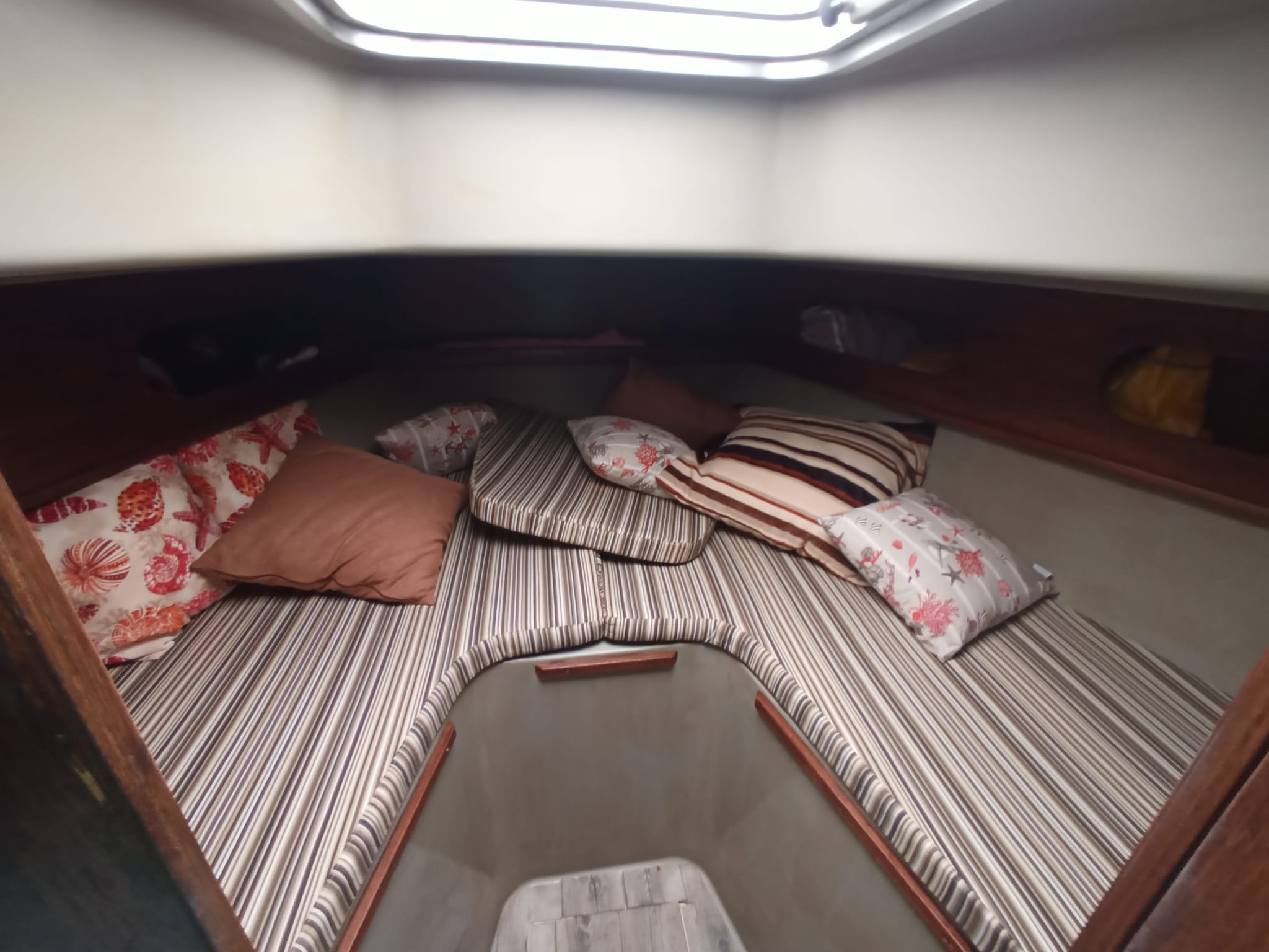 2010 Zaniboni F310 Bluetime en venta (photo 24)