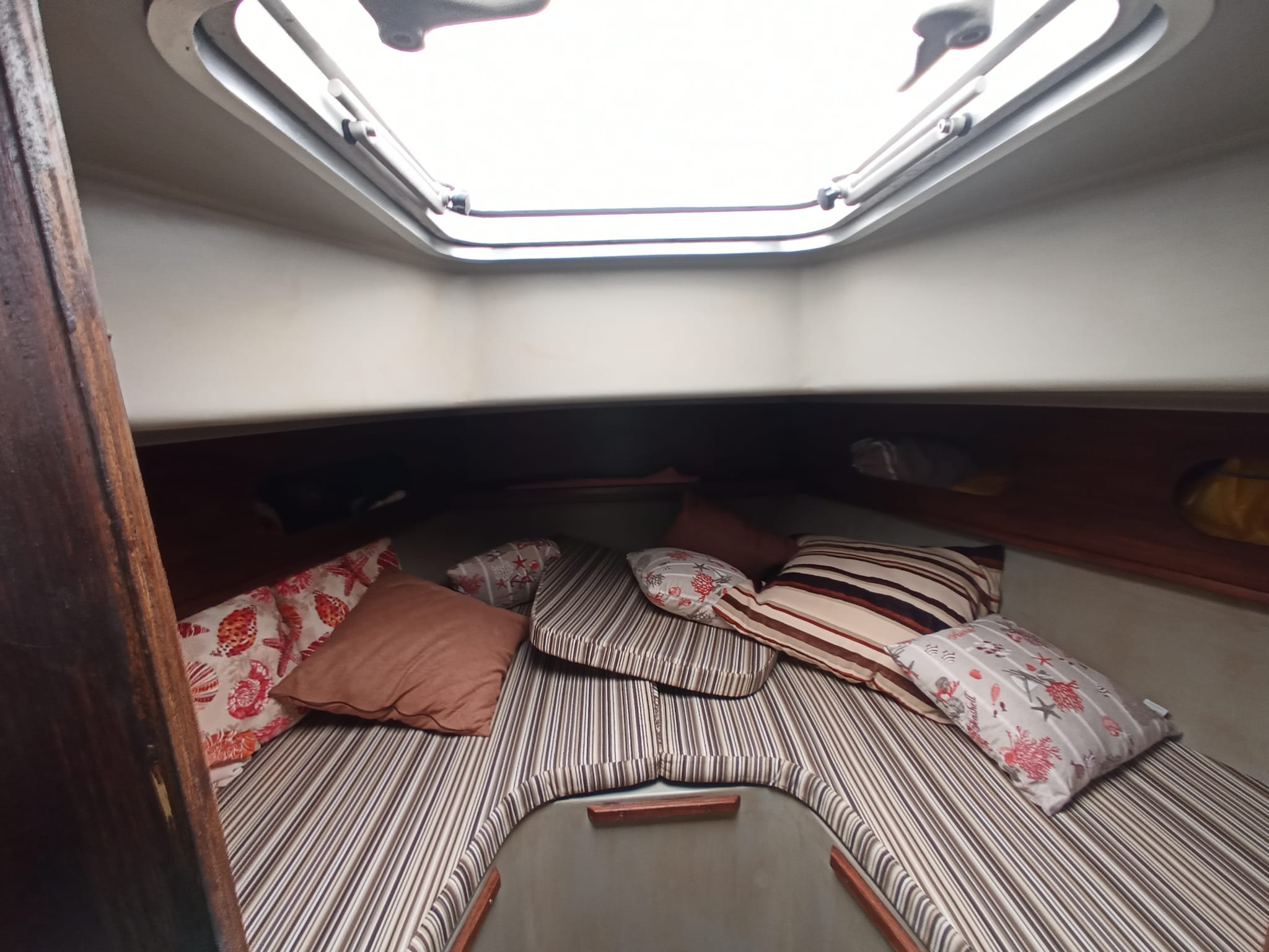 2010 Zaniboni F310 Bluetime en venta (photo 26)