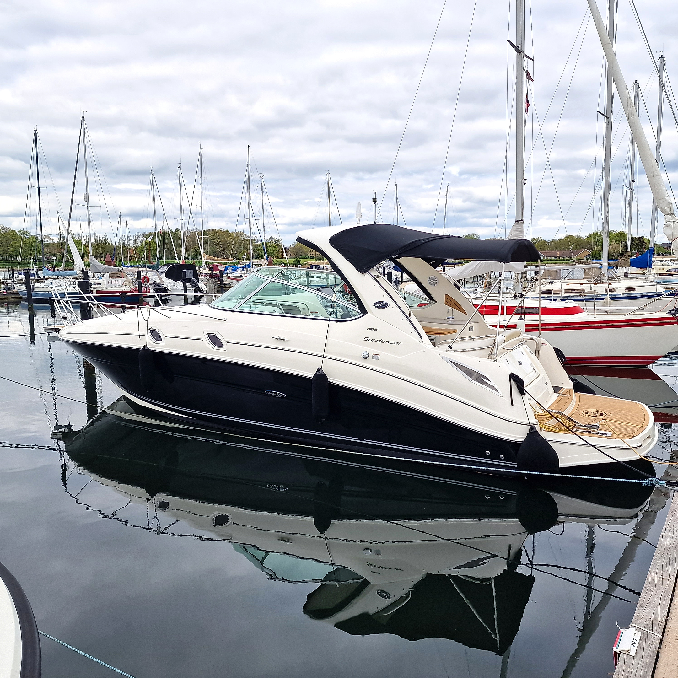 2011 Sea Ray 305 Sundancer en venta (photo 2)