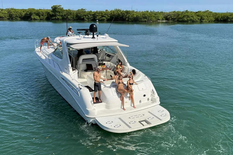2025 Sea Ray 540 Sundancer zu chartern (photo 2)