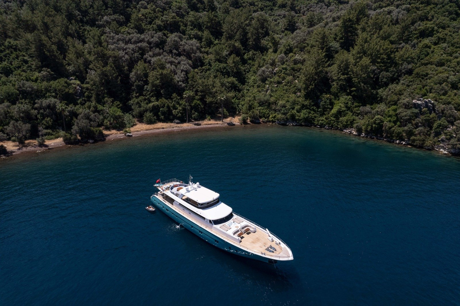 2022 Custom 42 Metre en alquiler (photo 6)