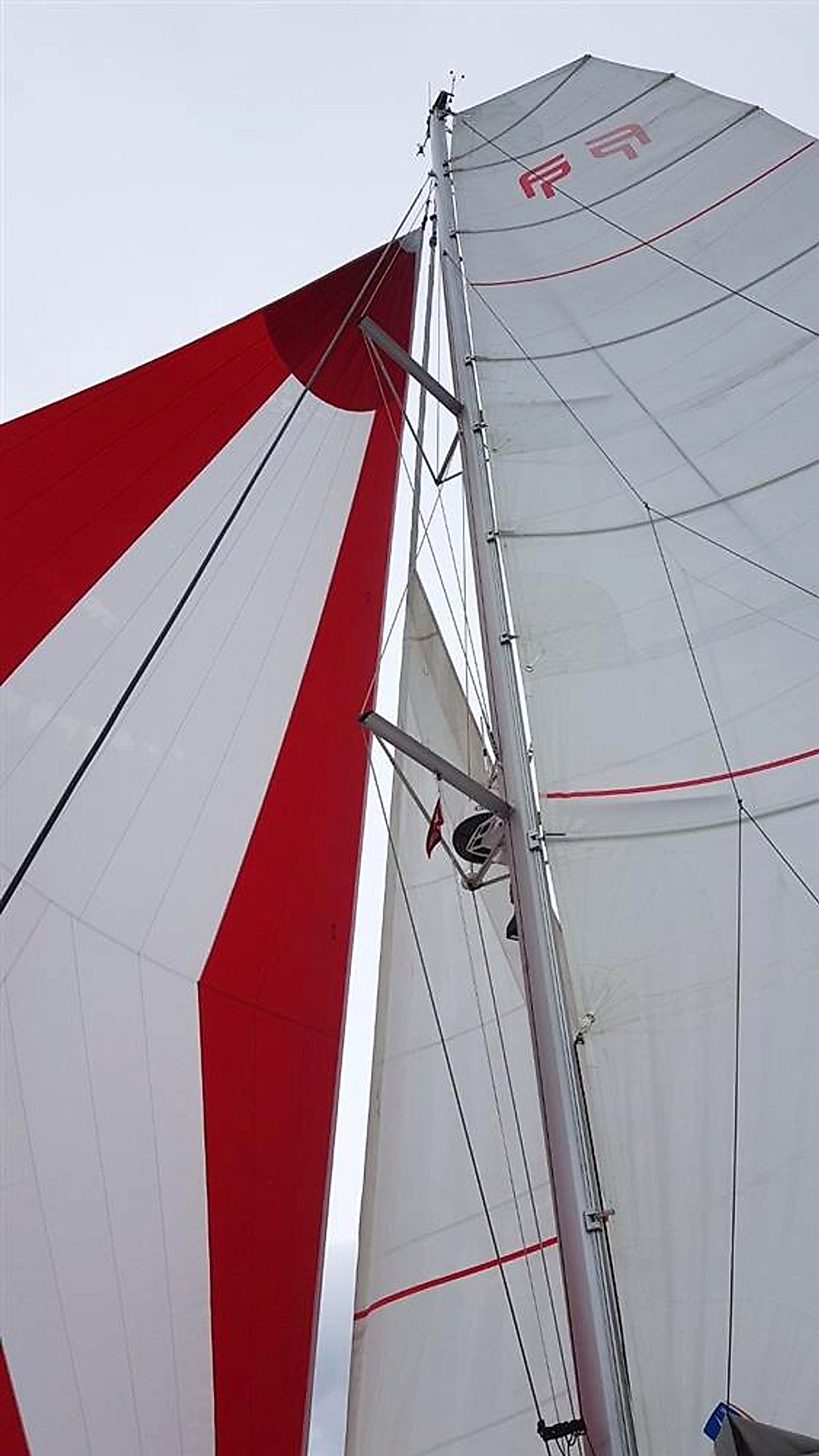 2019 Fountaine Pajot Saona 47 (maestro) for sale (photo 11)
