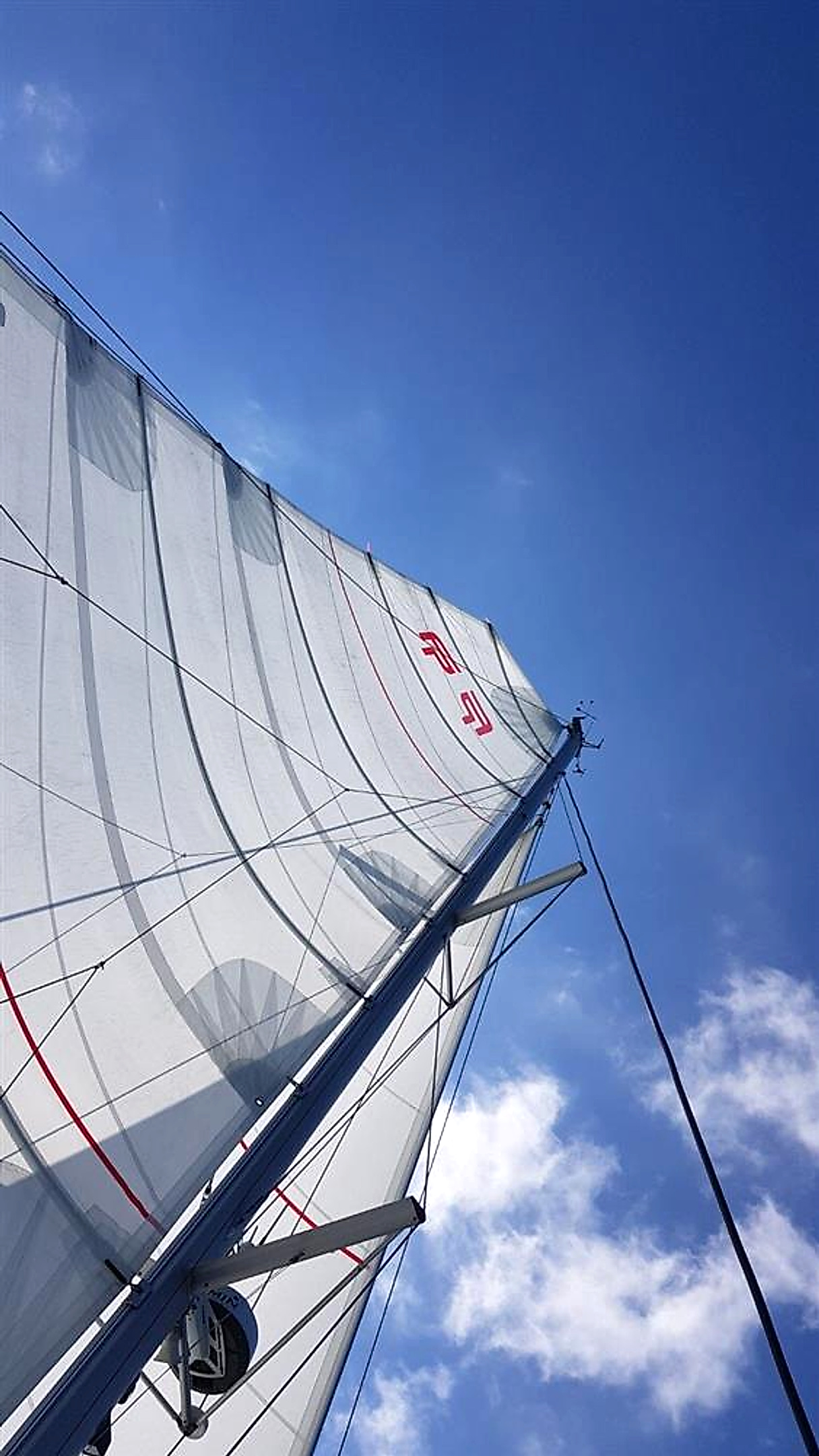 2019 Fountaine Pajot Saona 47 (maestro) for sale (photo 12)