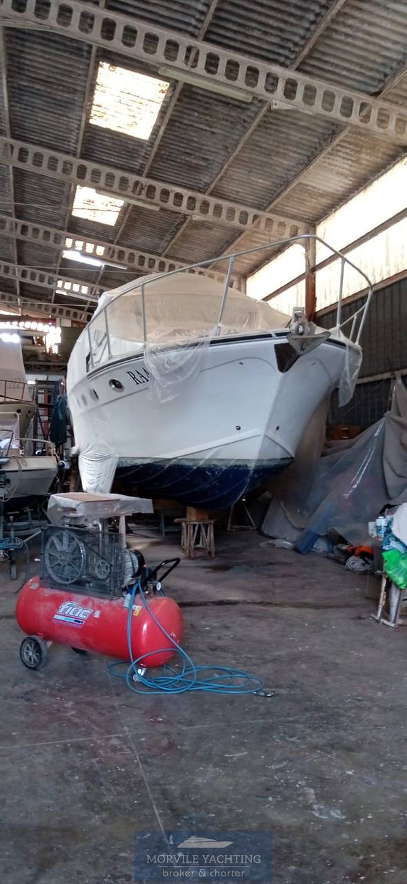 1996 Dellapasqua Dc 11s for sale (photo 18)