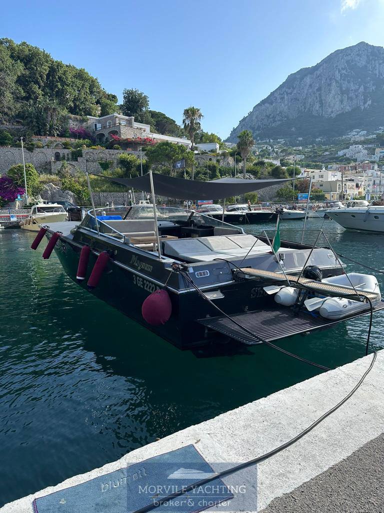 1991 Magnum Marine 53 en venta (photo 1)