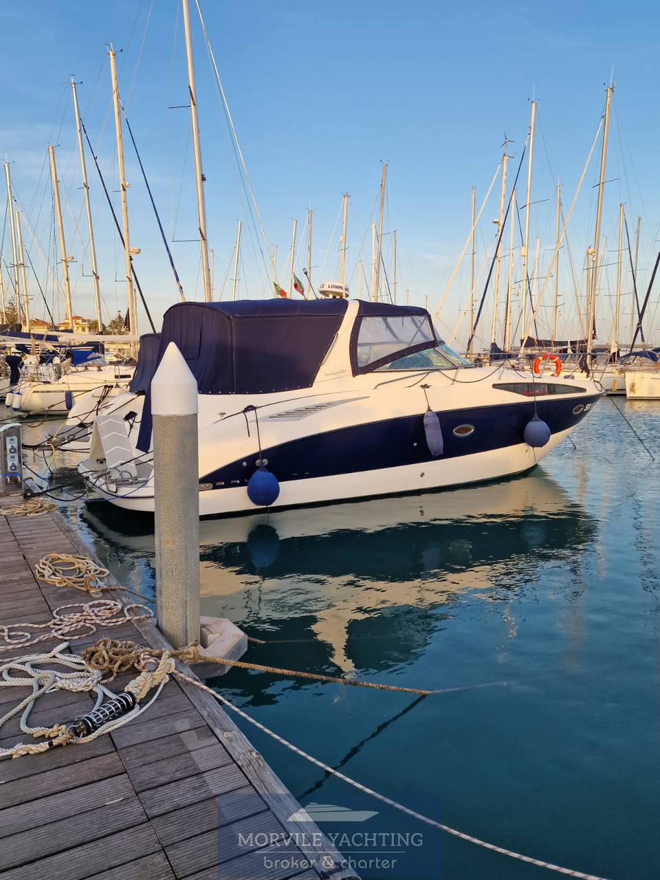 2006 Bayliner 34 open te koop (photo 2)