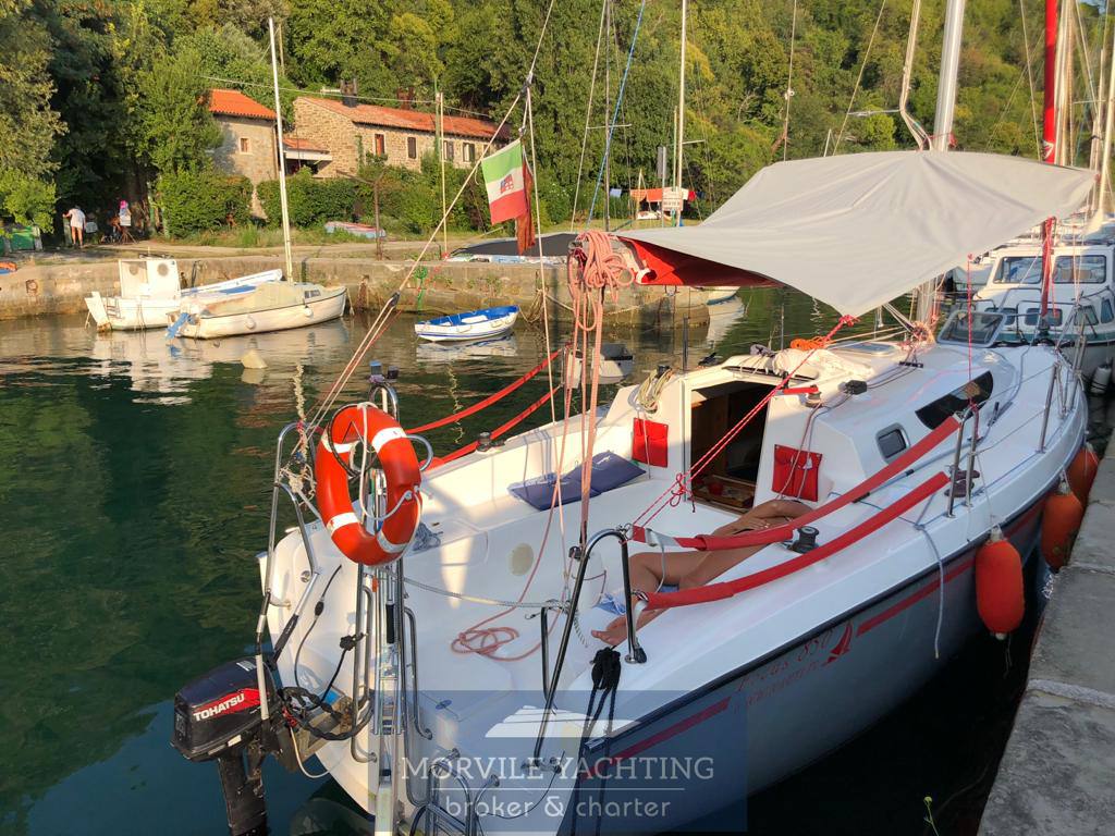 2015 Nauti poland Focus 850 en venta (photo 3)