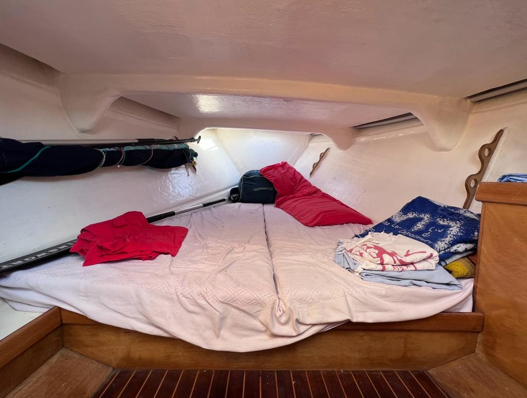 2026 Fratelli Sabatini Altair 25 zu verkaufen (photo 12)