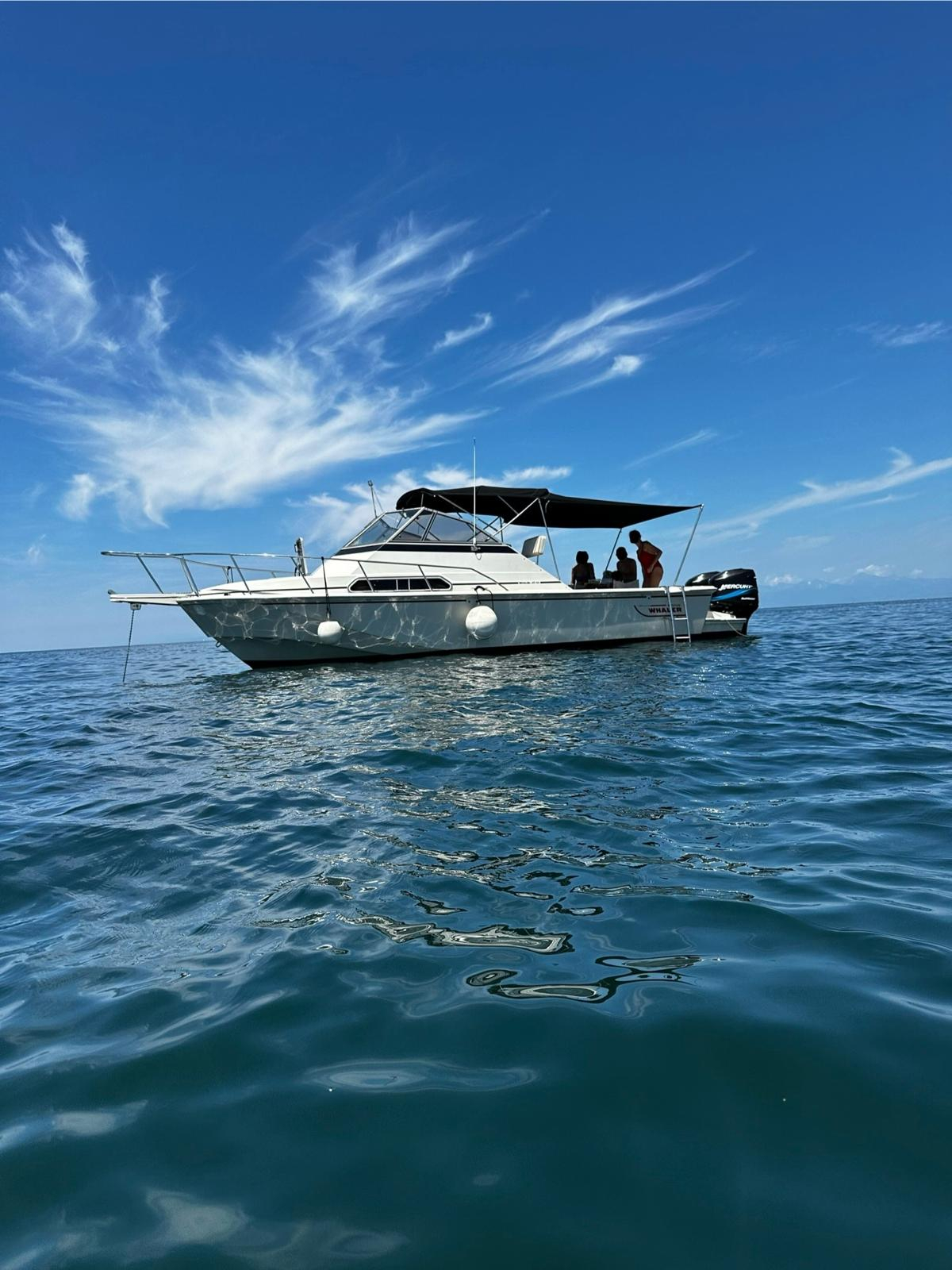 1990 Boston Whaler 27 Full Cabin zu verkaufen (photo 3)