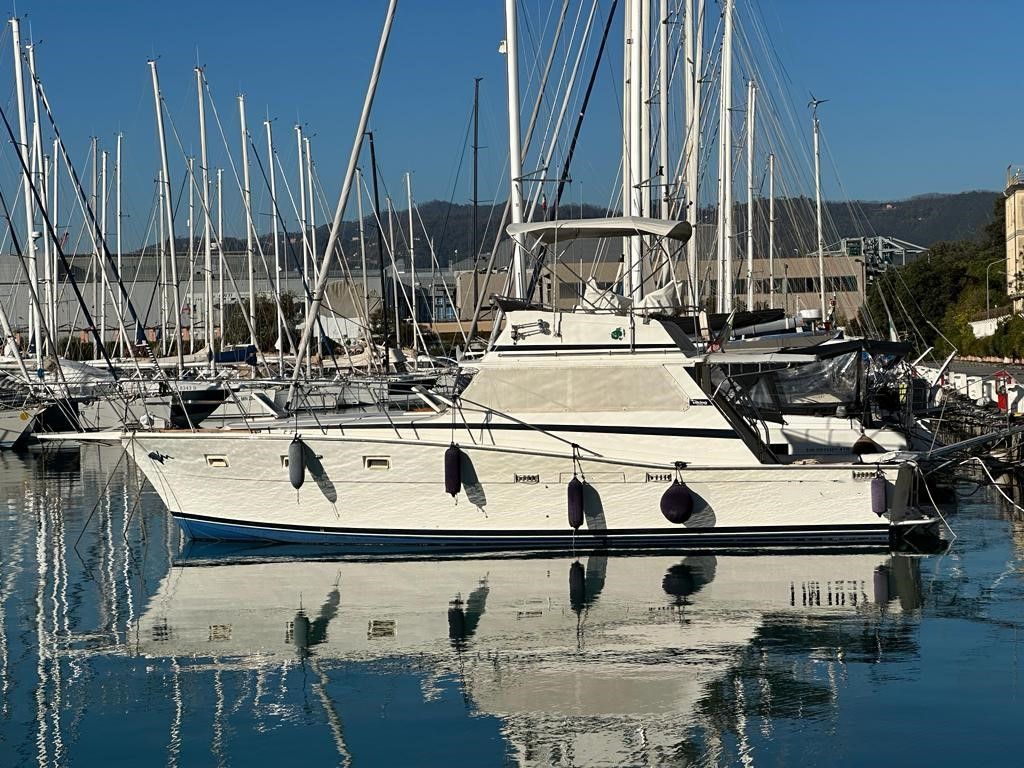 1980 Viking 40 à vendre (photo 1)