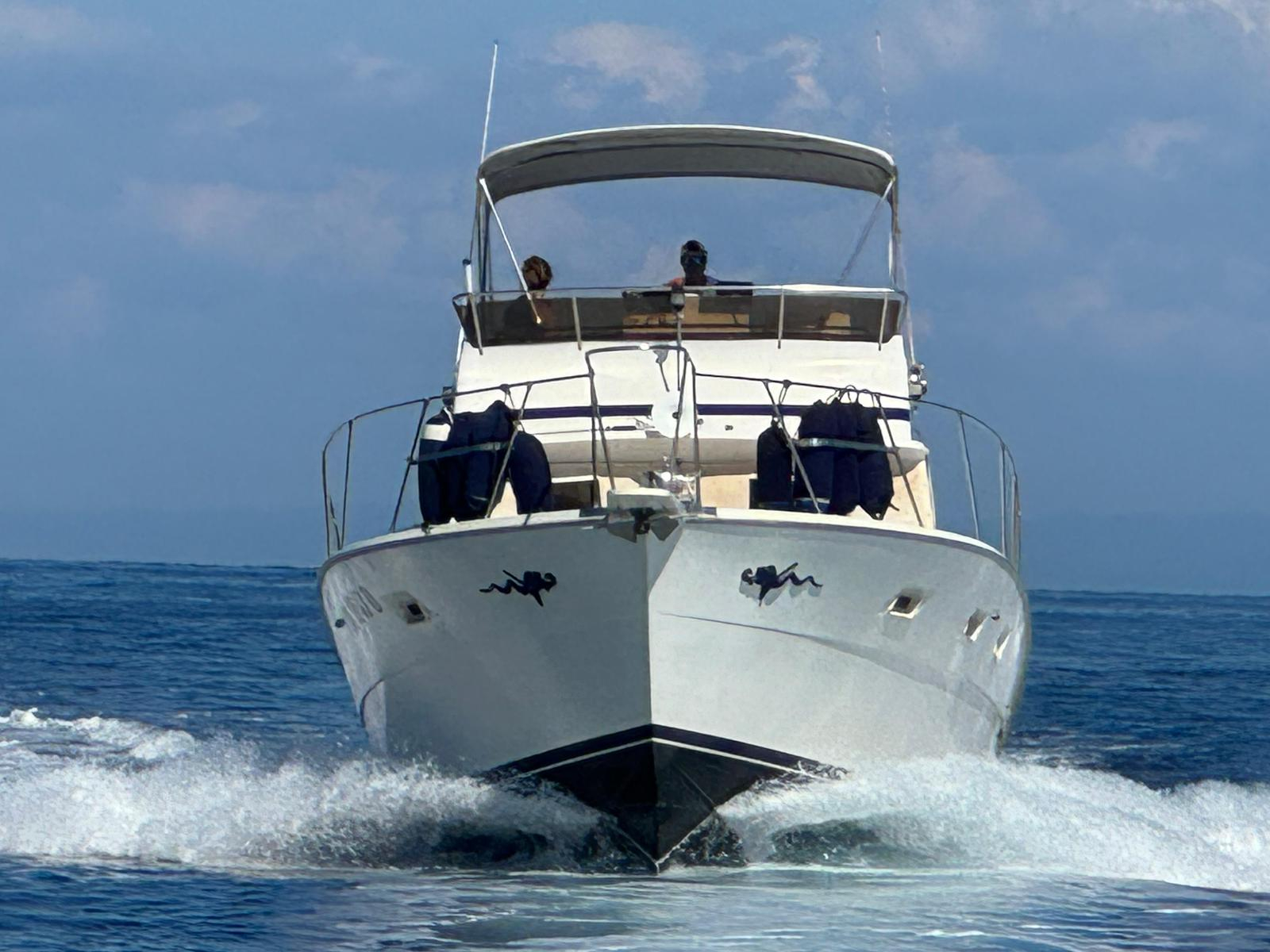 1980 Viking 40 à vendre (photo 2)
