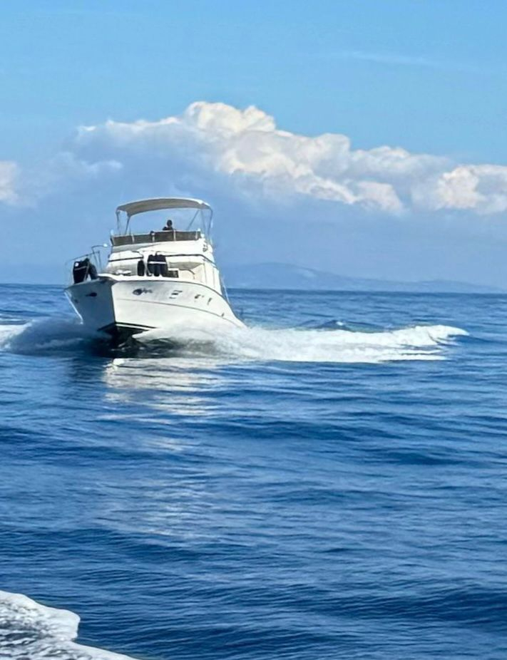 1980 Viking 40 à vendre (photo 3)