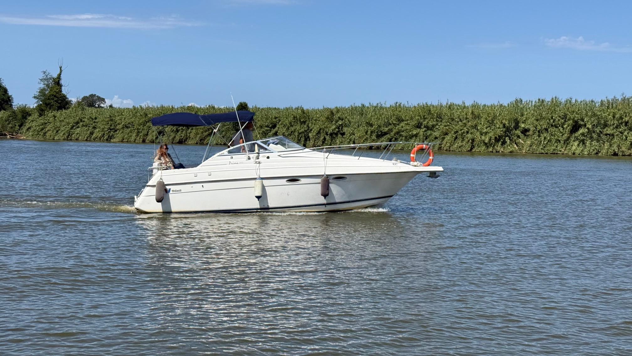1993 Wellcraft 243 Prima en venta (photo 10)