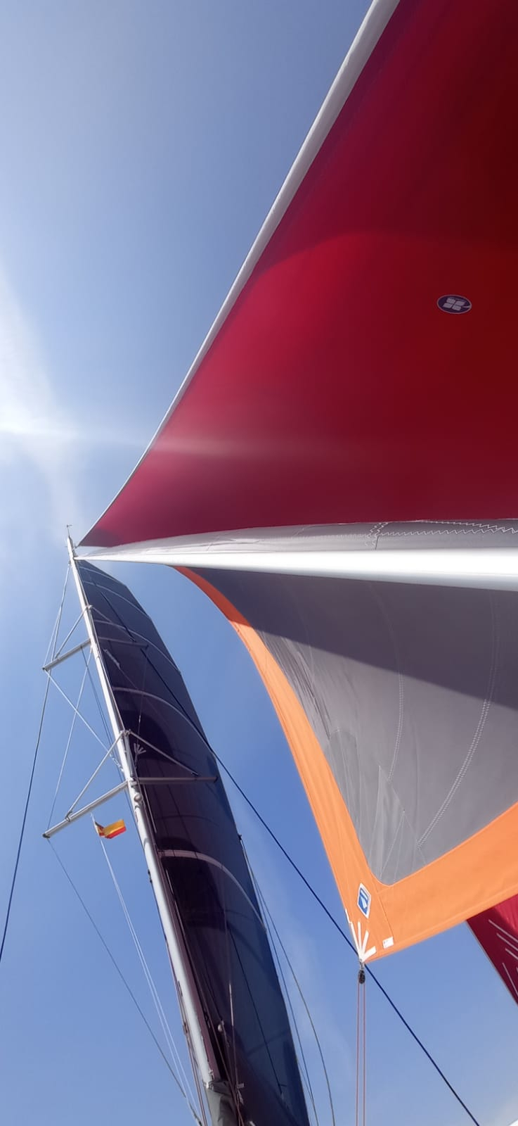 2021 Excess 12 in vendita (photo 7)