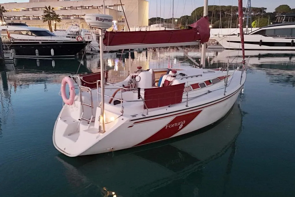 1991 Fortune 9 en venta (photo 5)