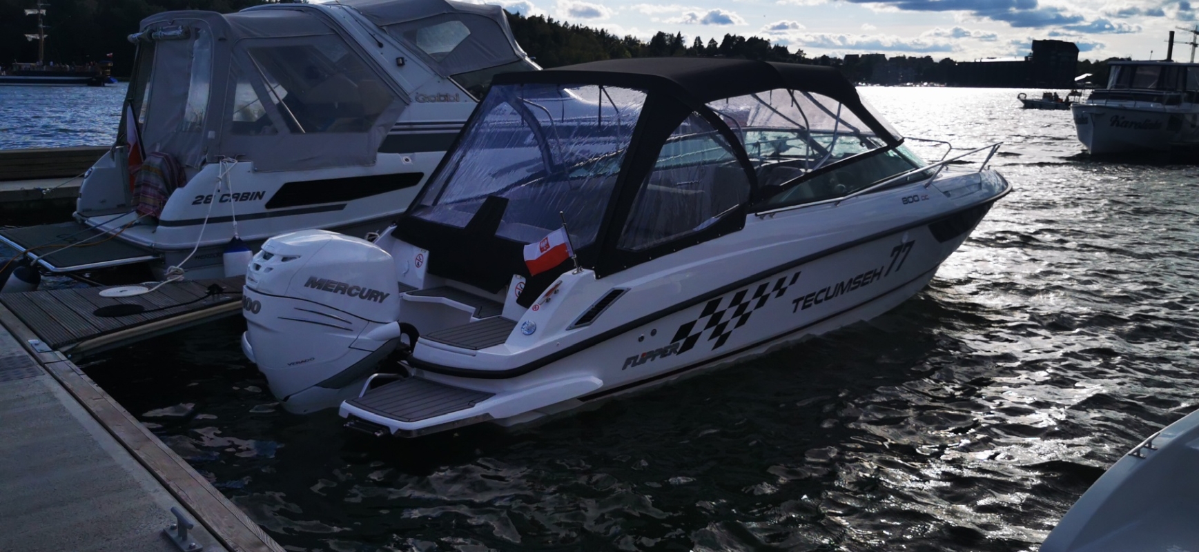 2022 Flipper 800 DC for sale (photo 8)