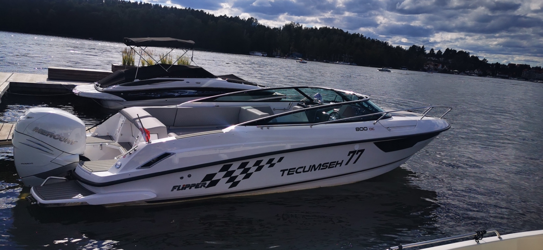 2022 Flipper 800 DC for sale (photo 10)