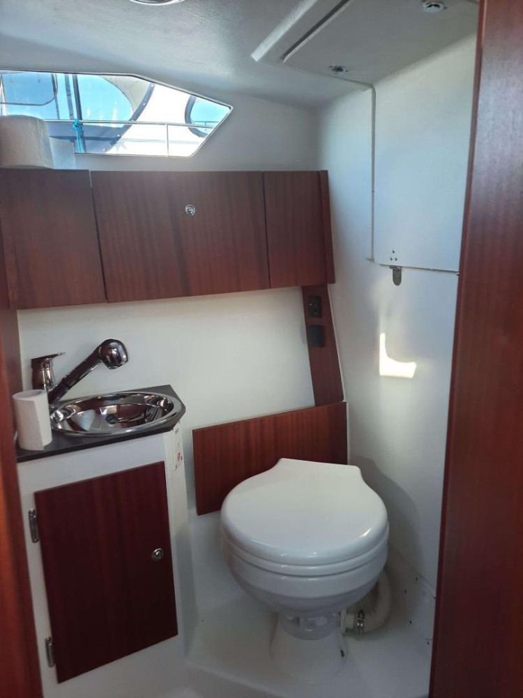 2021 Massiv Cabina 395 na sprzedaż (photo 6)