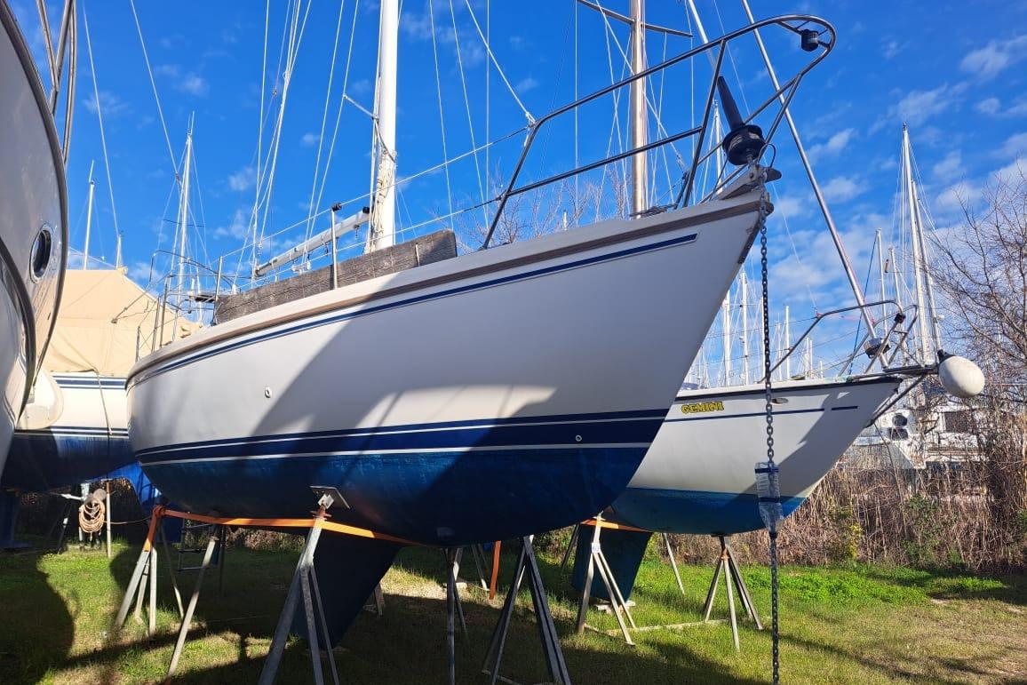 1989 Catalina 34 for sale (photo 2)