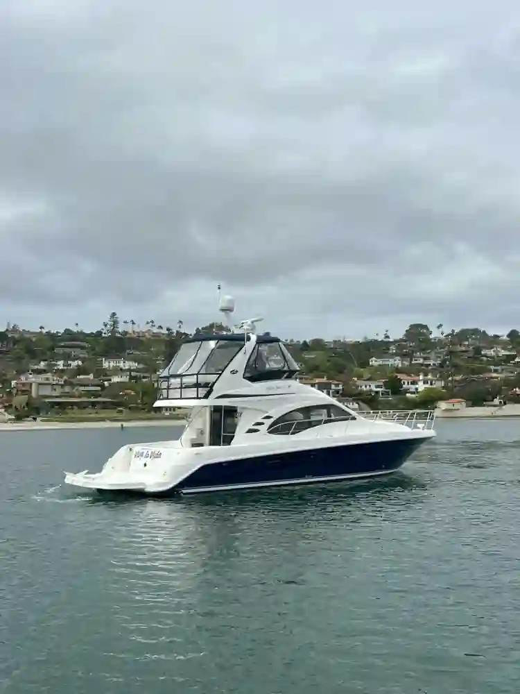 2006 Sea Ray 44 Sedan Bridge en venta (photo 4)