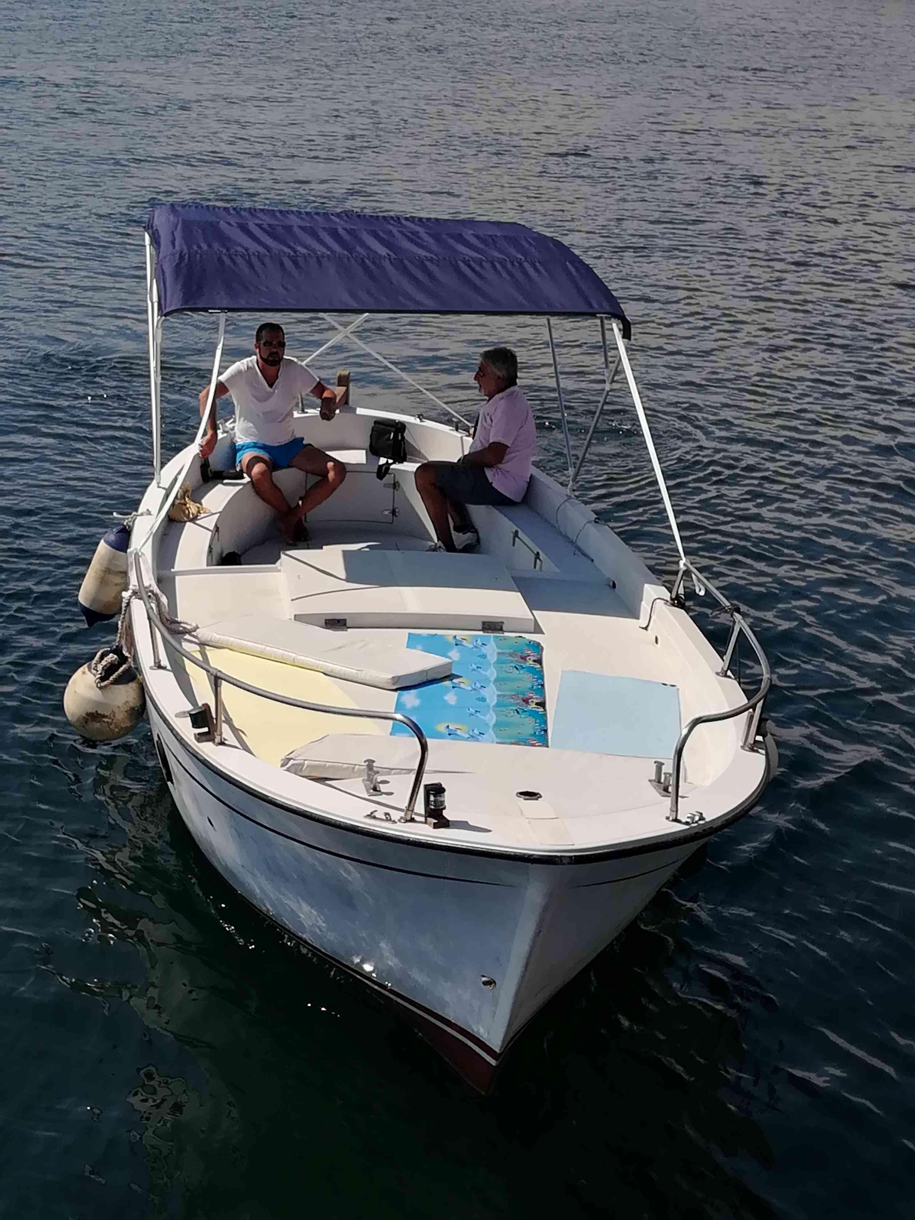 1991 Deltamar Poseidon Sun 750 na sprzedaż (photo 3)