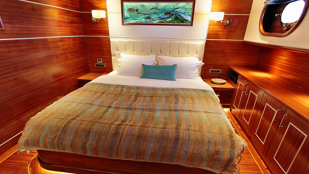 2012 Carpe Diem Shipyard Carpe Diem V for charter (photo 8)