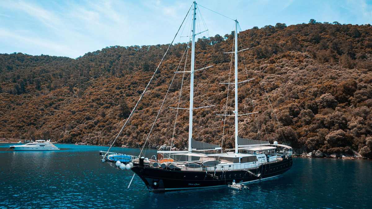 2019 Custom Built Nevra Queen a noleggio (photo 27)