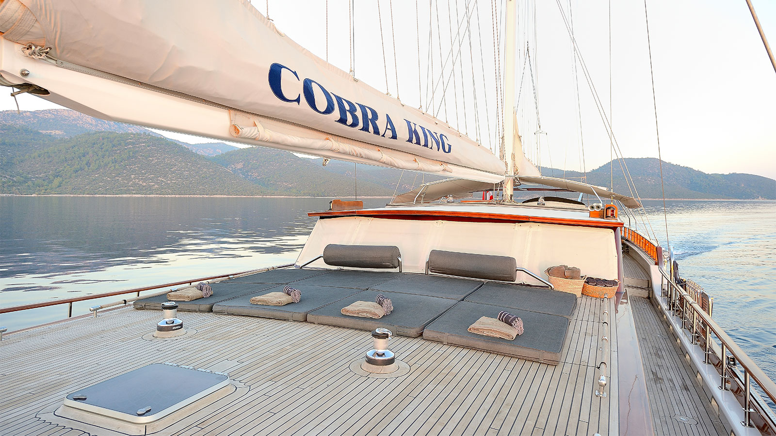 2005 Cobra Yacht Cobra King à louer (photo 24)