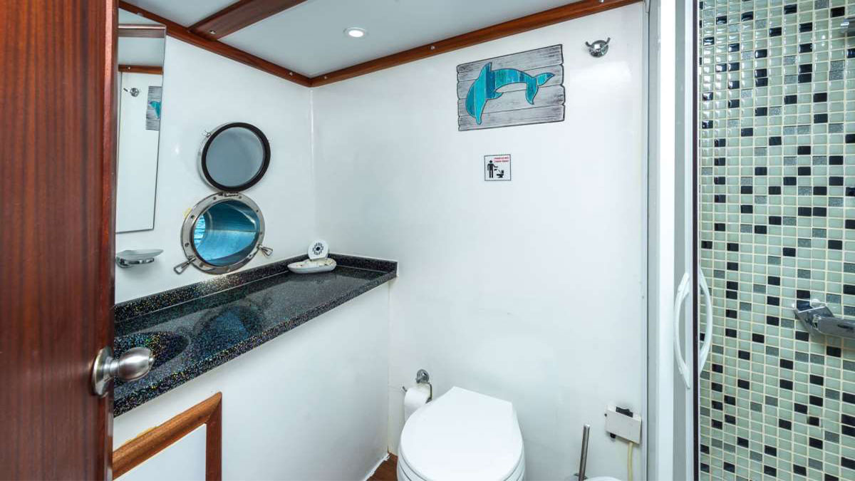 2009 Custom Built Sirena na czarter (photo 15)