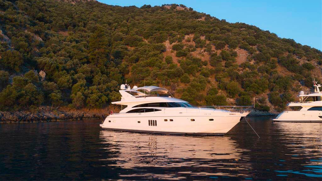2007 Princess 21M for charter (photo 1)