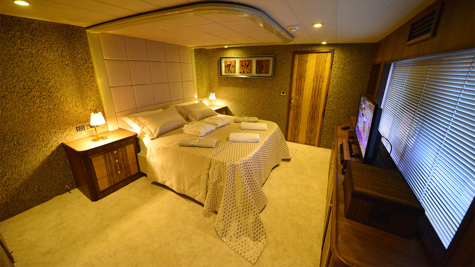 2015 ES Yachting Simay F na czarter (photo 8)
