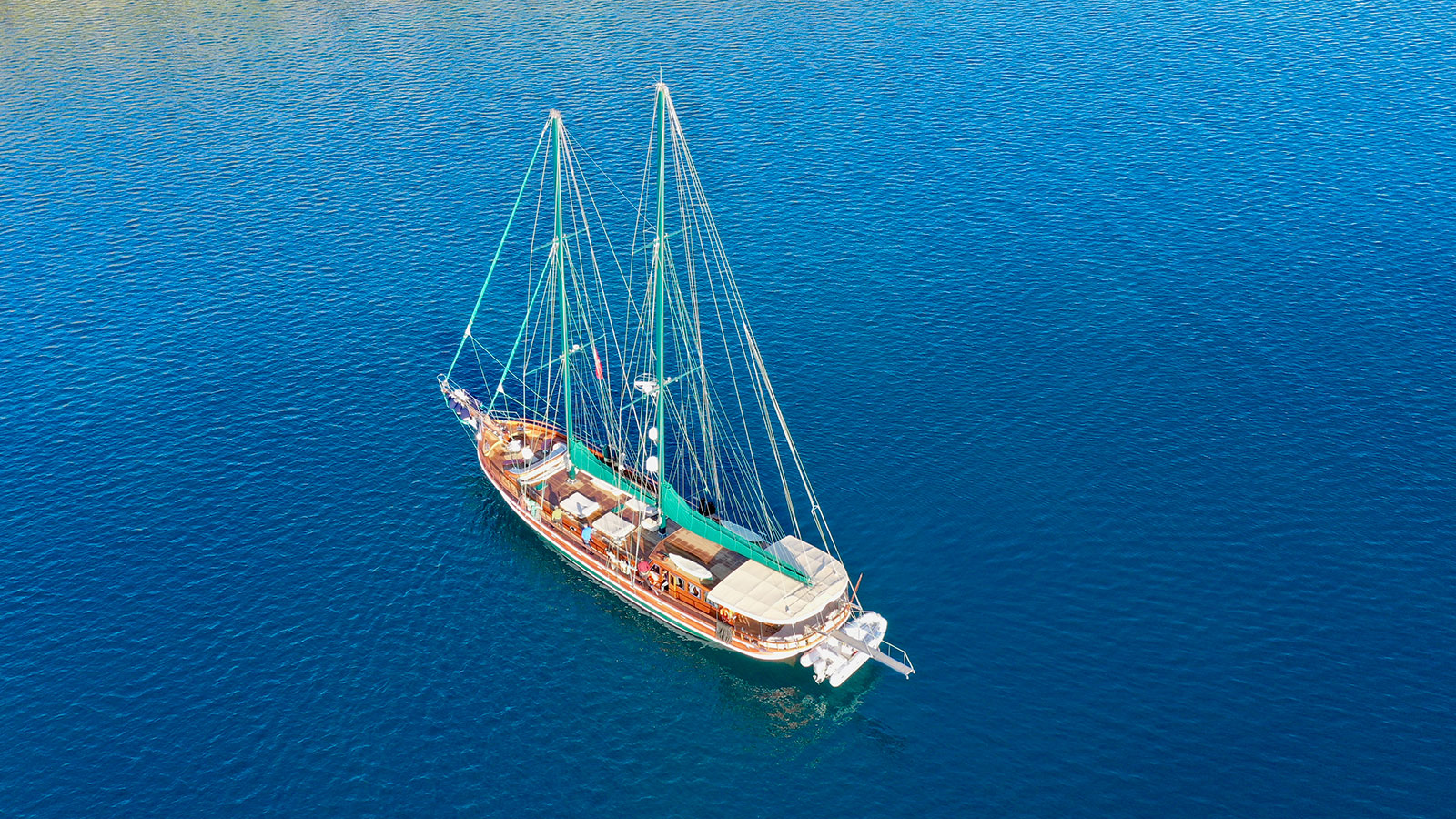 1998 Custom Built Ros Mare na czarter (photo 14)