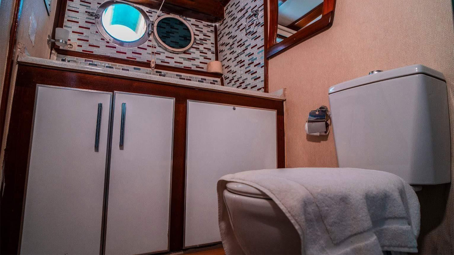 2004 Custom Built White Swan na czarter (photo 13)