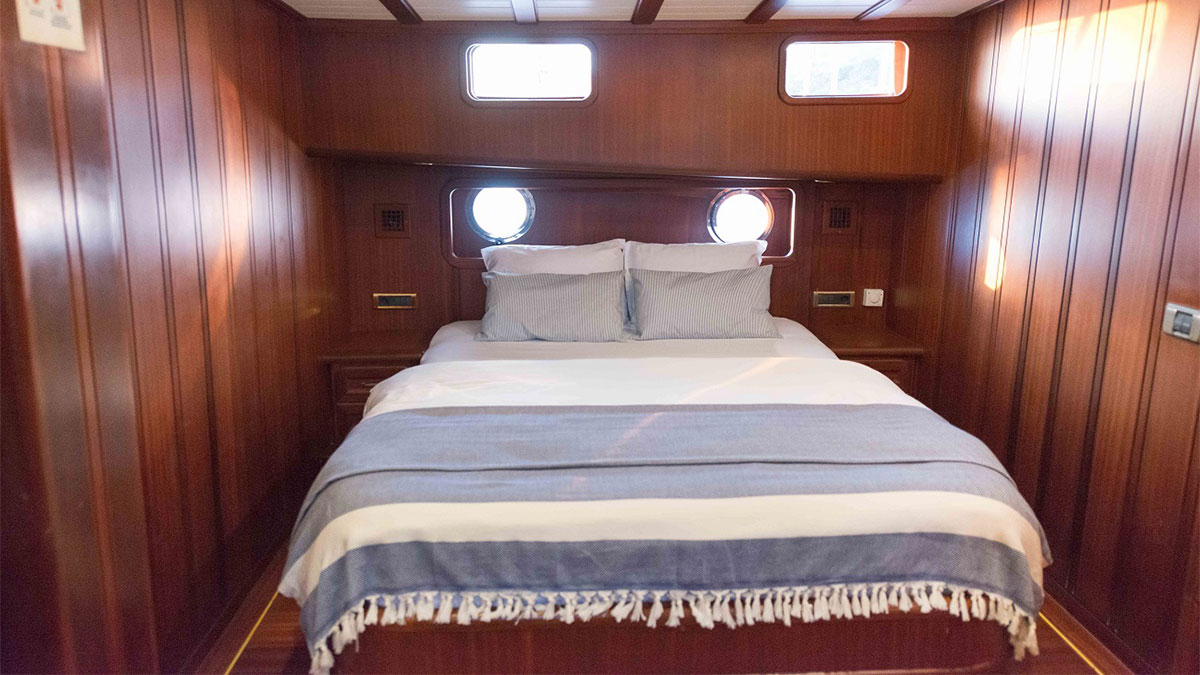 1998 Custom Built Primadonna a noleggio (photo 8)