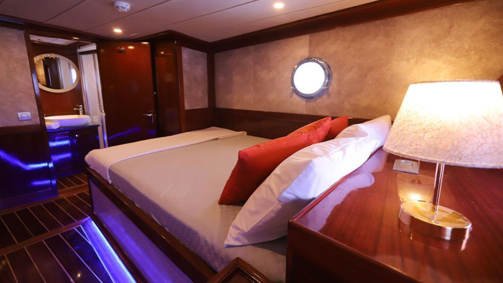 2009 Custom Built Queen of RTT en alquiler (photo 3)