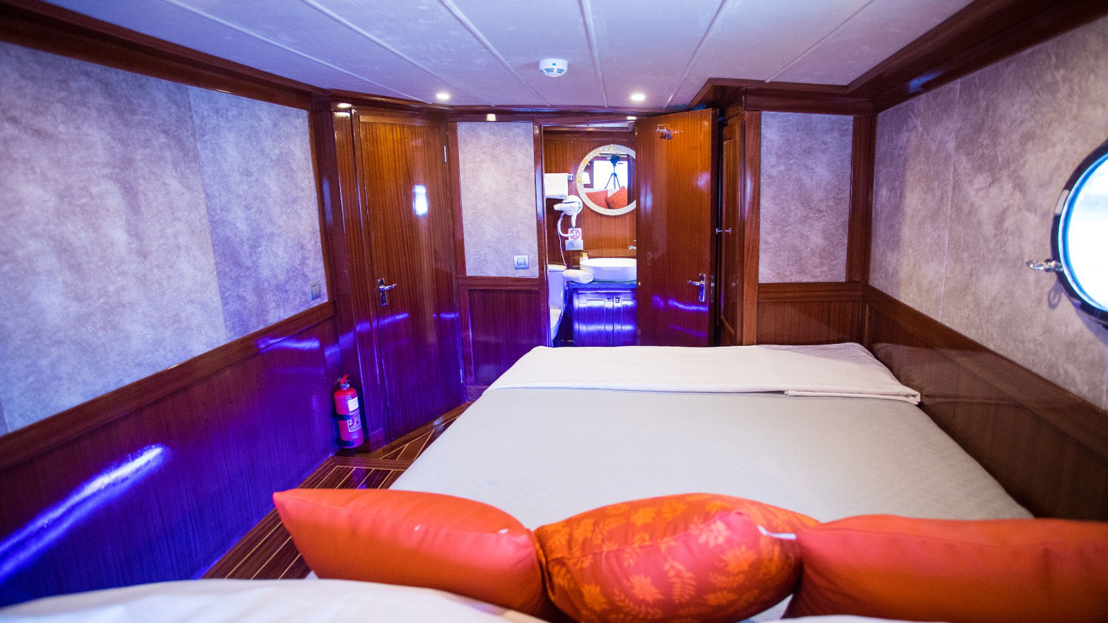2009 Custom Built Queen of RTT en alquiler (photo 5)