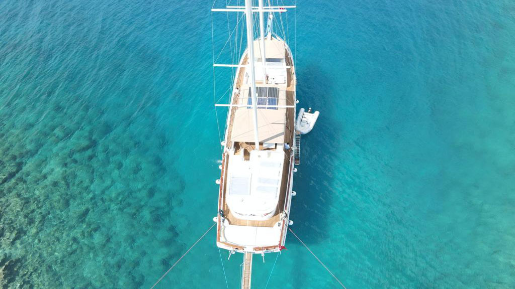 2009 Custom Built Queen of RTT en alquiler (photo 23)