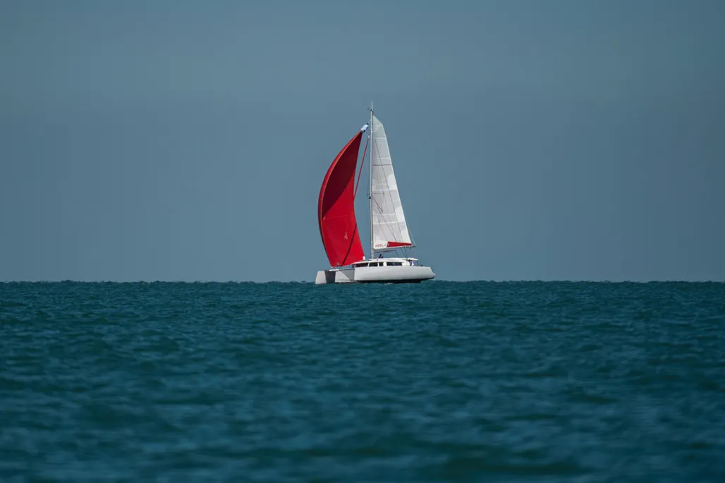 2026 NEEL 43 en venta (photo 47)