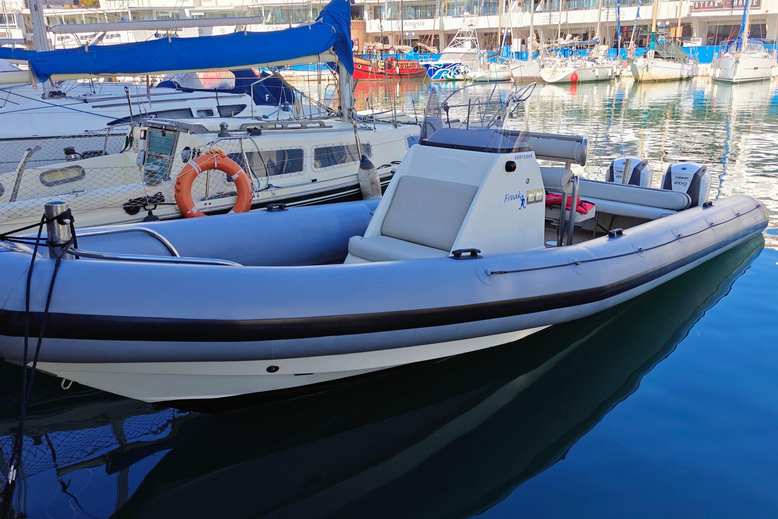 2005 Protector RIB 8.75m for sale (photo 15)