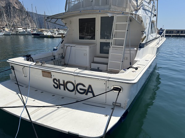 1995 Bertram 46 Convertible in vendita (photo 2)