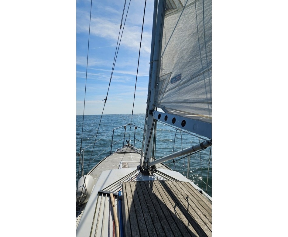 1981 Sondo TS Sandali Regata zu verkaufen (photo 3)