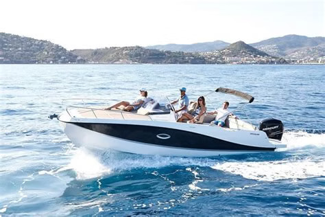 2019 Quicksilver 755 a noleggio (photo 2)
