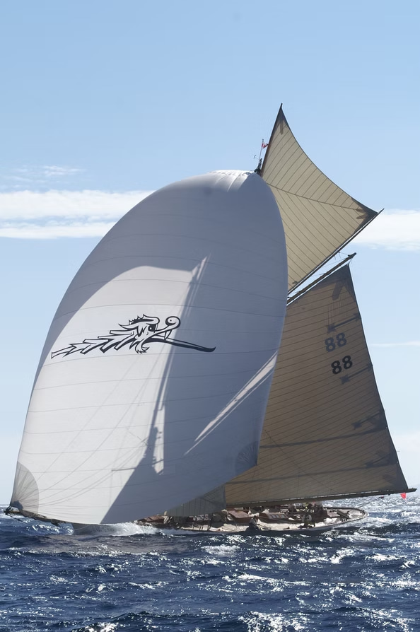 1920 William Fife & Sons Moonbeam III na czarter (photo 12)