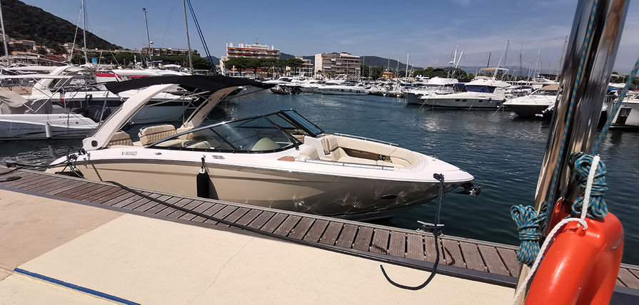 2019 Regal 2800 na czarter (photo 11)