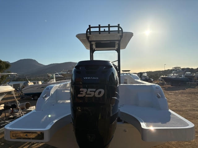 2025 SEAGAME 250CC zu verkaufen (photo 2)