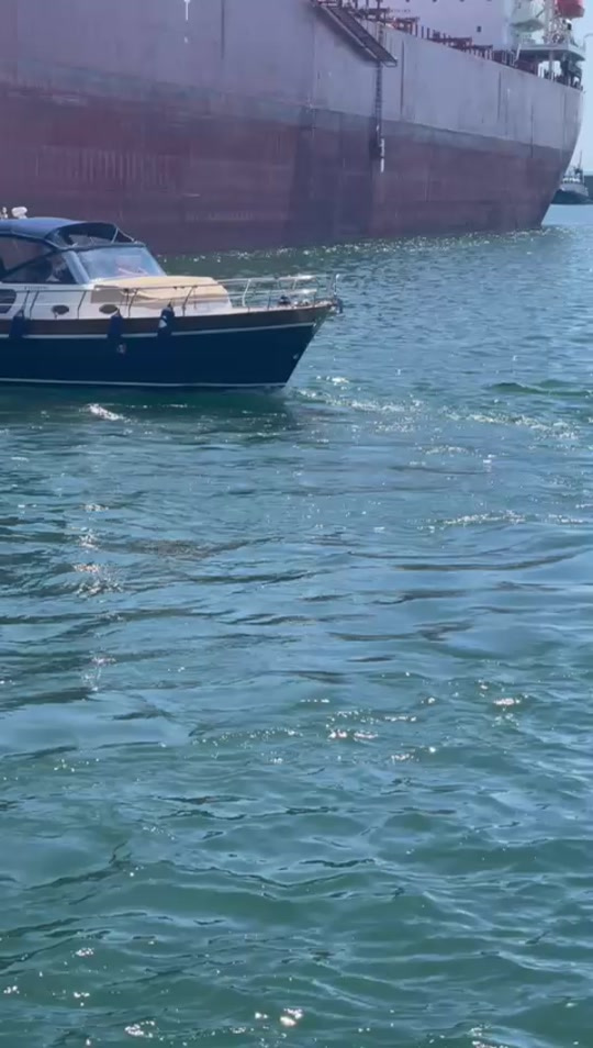 2019 Libeccio 950 zu verkaufen (photo 1)