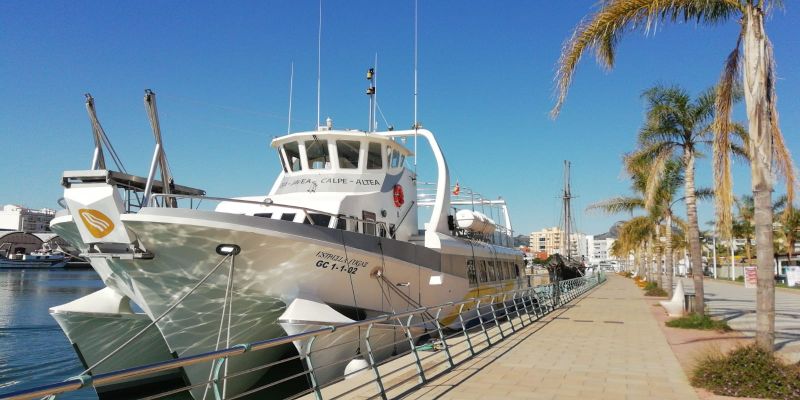 2002 Mundo Marino Catamaran 250 pasajeros for charter (photo 5)